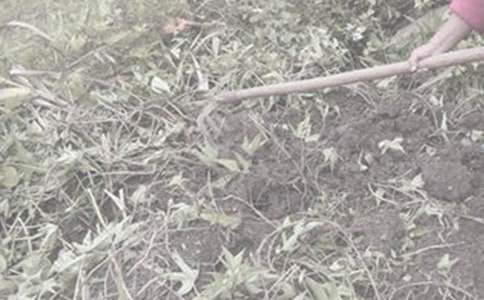 �������r���(d��ng)��(ji��n)�󣨾��x30ƪ��