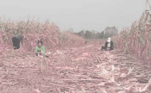 ��һ�θ��r�����ġ����T(m��n)��