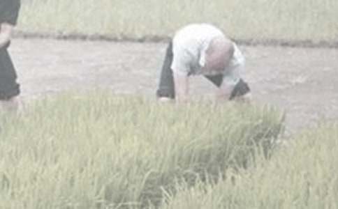 ��ٸ��r�����ģ�ͨ��30ƪ��