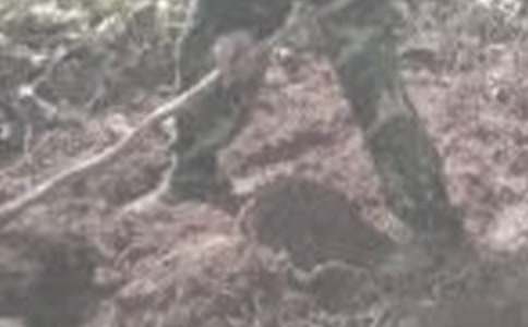 ��ʳ�����ČW(xu��)�r���(d��ng)�������