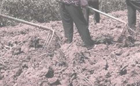 �W(xu��)�r���(d��ng)����