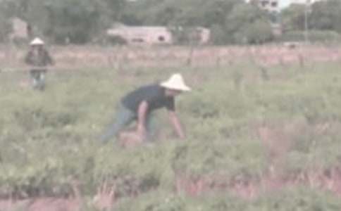 ��һ�θ��r�(y��u)������