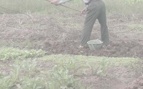 �W(xu��)�r���(d��ng)���ģ�ͨ��30ƪ��