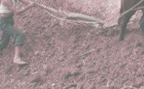 ���r������300�֣����x18ƪ��