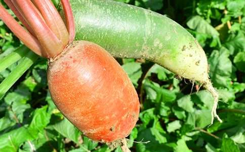 �r�Ҙ�(l�� )600������