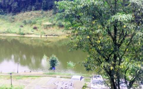 �r�Ҙ�(l�� )����1000��