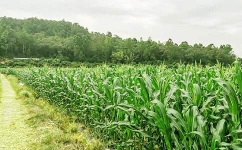 ���l�k���ˡ��r�Ҙ�(l�� )��_750��