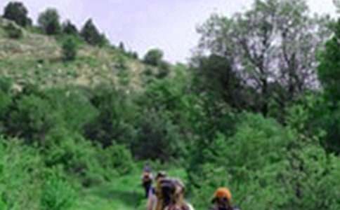 ��ɽ�ă�(y��u)������(4ƪ)