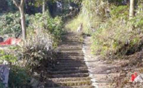 難忘的爬山作文(精選15篇)