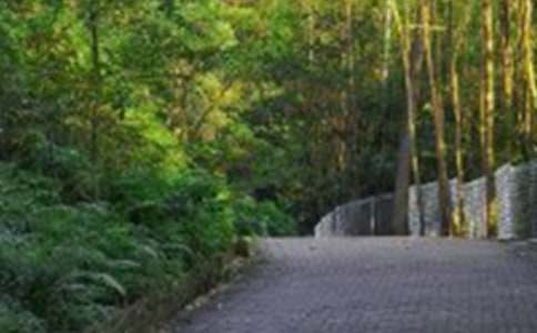 �P(gu��n)����ɽ���������ز� �茑(xi��)��ɽ�������ľ��x