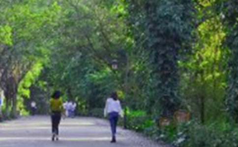 ��(xi��)�����ģ���ɽ