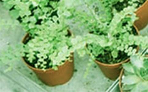 �ɘ�(sh��)���Ե�˼����������