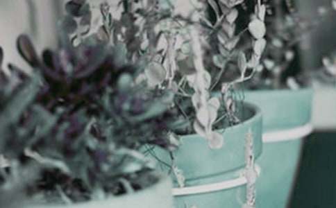 �Ҽҵ����Ԕ�������