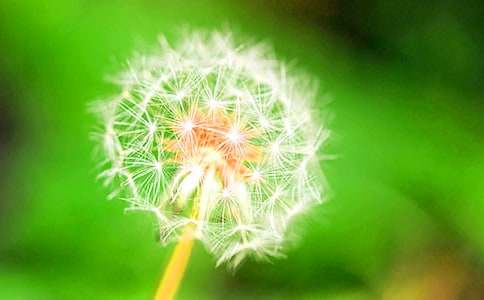 ���ѹ�Ӣ���̌W(xu��)��˼