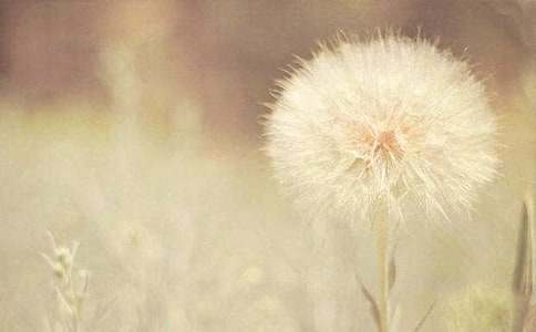 ���ѹ�Ӣһ���pӯ��(y��u)������2000��