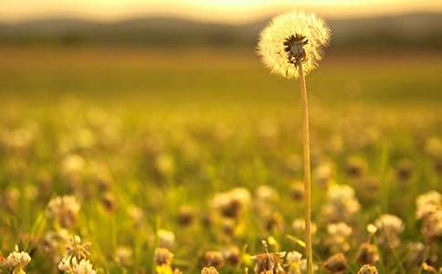 �ѹ�Ӣ��ʹ�����꼉����700��