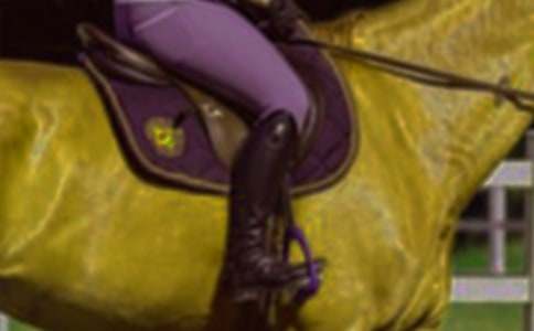 �P(gu��n)���T�R�Ĺ������ģ����x43ƪ��