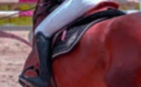 ��ԭ�T�R�ĸ�������