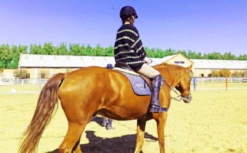 有關(guān)騎馬作文400字集錦8篇