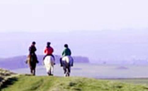 騎馬的作文200字(精選25篇)