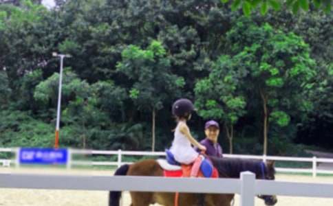 �T�R���w�����