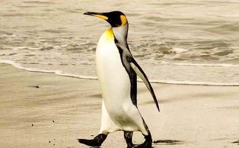 �Ҽҵĵܵܡ�С���Z������550��