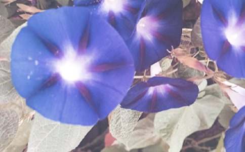 ��(xi��)������������800��