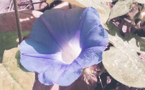 �P(gu��n)���茑(xi��)������������700�֣����x5ƪ��