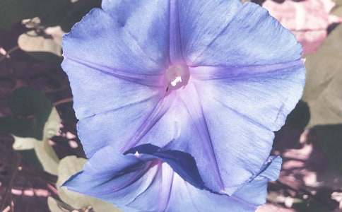 �Ґ�(��i)����������700��