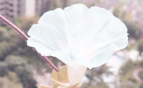 �^(gu��n)�젿��������(����15ƪ)