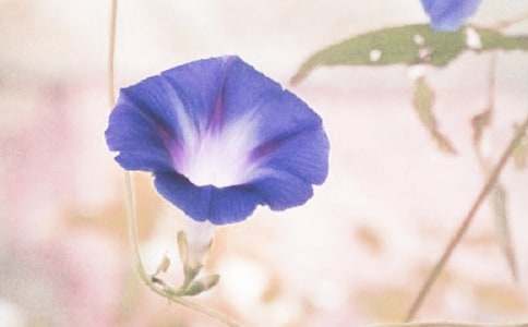 �^(gu��n)�젿��������(15ƪ)