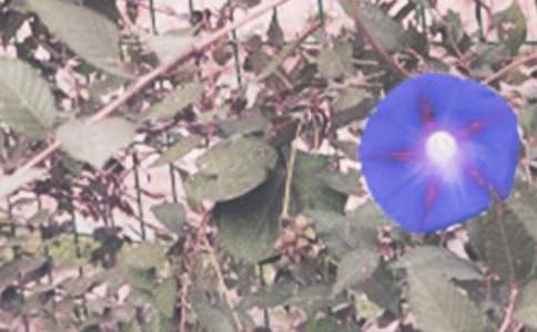 �辰����ɢ�ģ�����Ġ�����