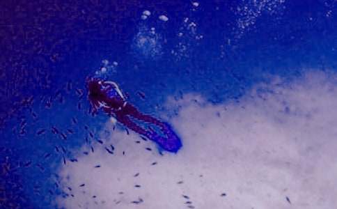 �P(gu��n)���~(y��)�͝�ˮͧ������