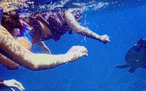 ��һ�Ν�ˮ��(xi��)������800��