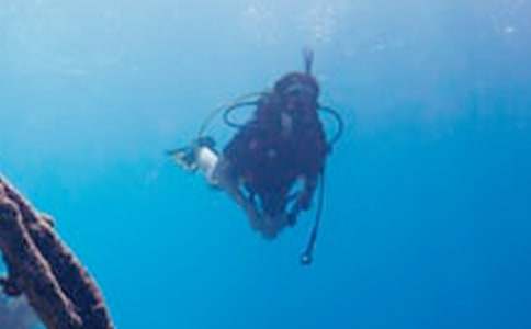 ��ˮͧС�W(xu��)����