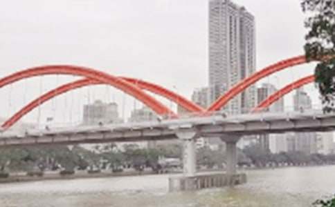 �����Ę�������