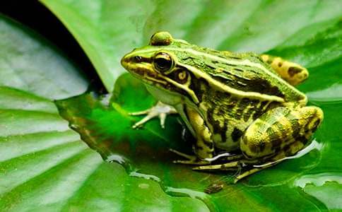 ��С�ܵ܂�Մ���܃�(y��u)������