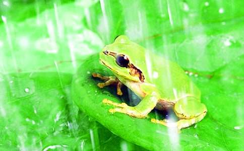 ���Ľo���ܵ��š��̌W(xu��)�OӋ