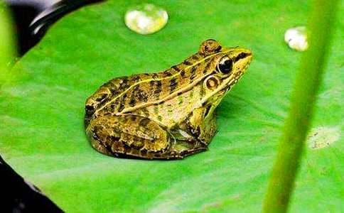 ������Ĕ�ʮ�f(w��n)ֻ����