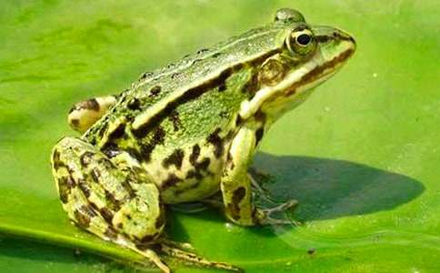 С�����g(sh��)С���ܵĽ̰�