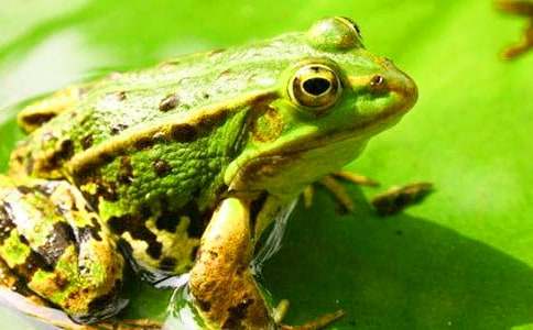 ͯԒ(hu��)���¾��x���������ğ���