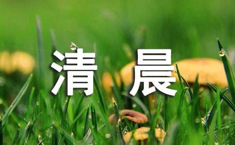 清晨樹(shù)影上的陽(yáng)光作文