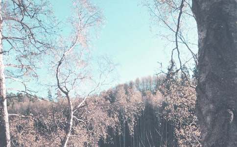 �P(gu��n)���＾С�W(xu��)�̌W(xu��)Ӌ��