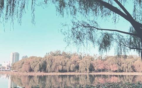 �茑(xi��)�＾���~�Z(y��)��Ԋ(sh��)��