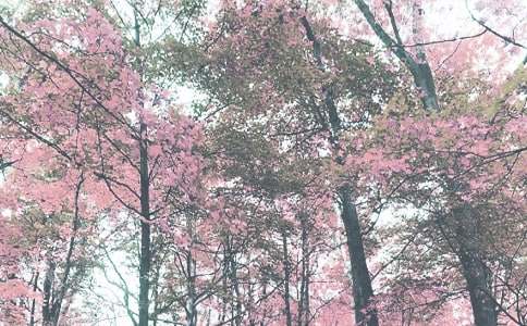 小班秋季流行病的預防教案(通用15篇)