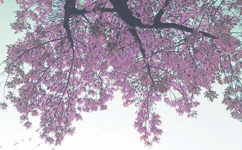 �Ґ�(��i)�＾�������ģ����x22ƪ��