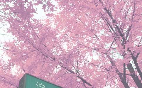 С�W(xu��)�＾�W(xu��)�ڽ̌W(xu��)Ӌ��