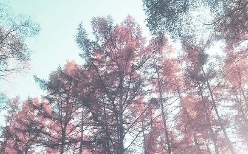 һ�������x���＾��������