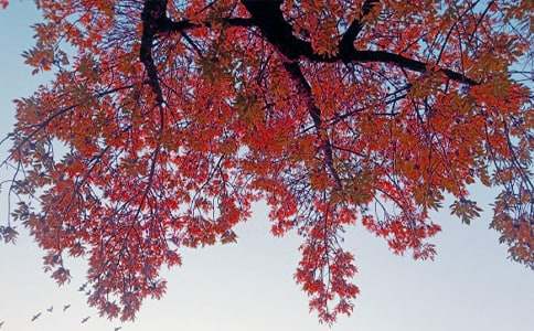 �P(gu��n)�����ռ��Z(y��)��ɢ���S�P