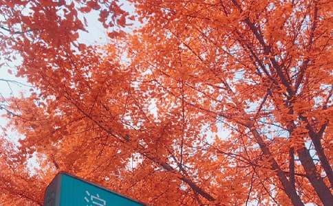 ����˽�Z(y��)��������